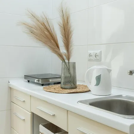 Smart Apartment *